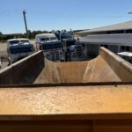 2017 BELL B40E ARTICULATED DUMP TRUCK